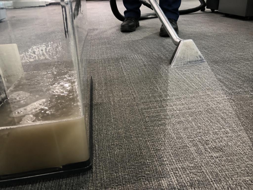 Agua sucia extraída de alfombra de oficina durante lavado profesional
